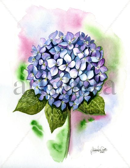 Hortensia Acuarela Papel Floral