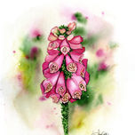 Floral thumbnail 1