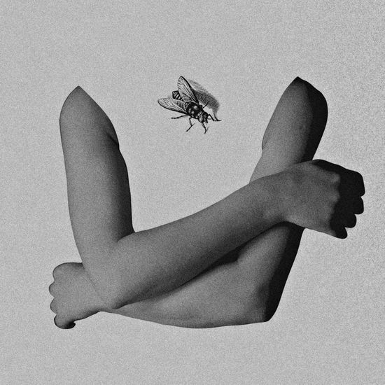 Doble retrato Others Portrait