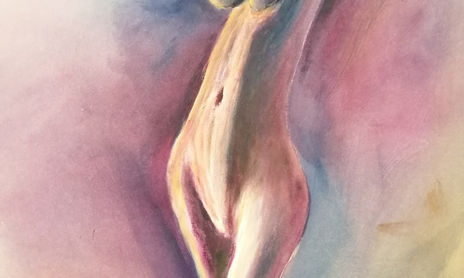 Desnudos