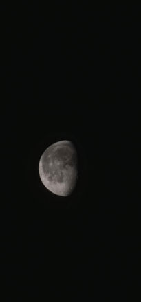 The moon