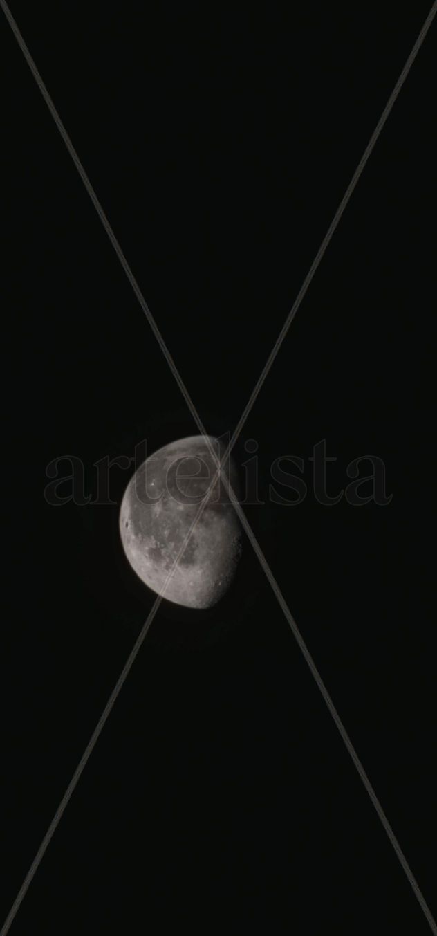 The moon