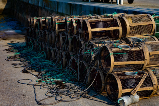 octopus fishing traps in laxe port Other Themes Color (Manual)