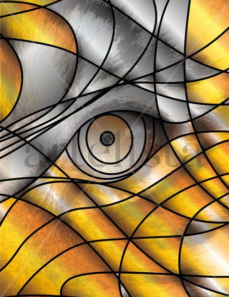 Mirada Salvaje