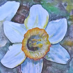 Floral thumbnail 1