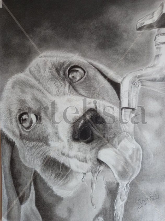 retrato perro