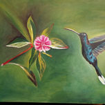 Aves thumbnail 2