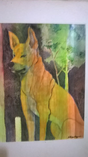 Dingo Acrylic Card Animals