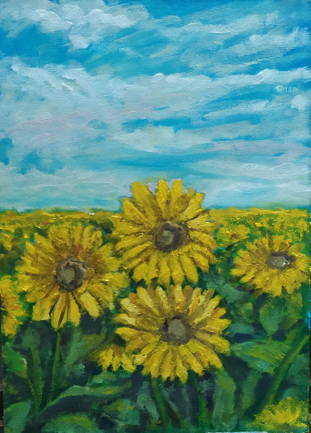 CAMPO GIRASOLES