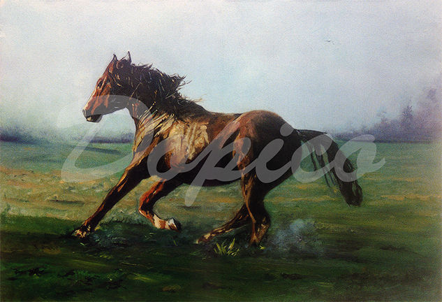 Libertad/Liberdade/Freedom Oil Canvas Animals