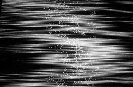 Abstracción II Conceptual/Abstract Black and White (Digital)