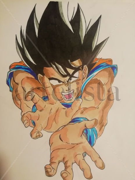 Kame Hame Ha!