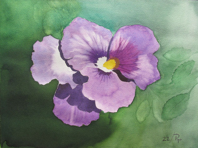 pensamiento morado Acuarela Papel Floral