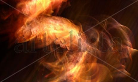 Flor de fuego