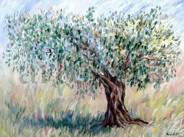 Olivo Oil Canvas Landscaping