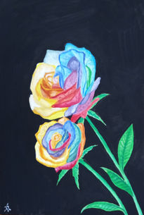 Rainbow Rose