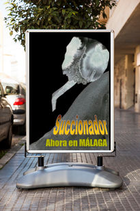 Succionador