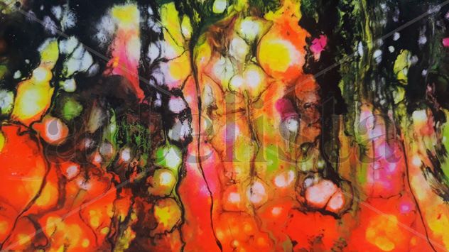Fluid 3