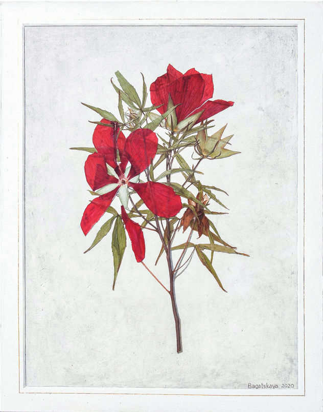 "The Hibiscus". Please support the Ukrainian artist