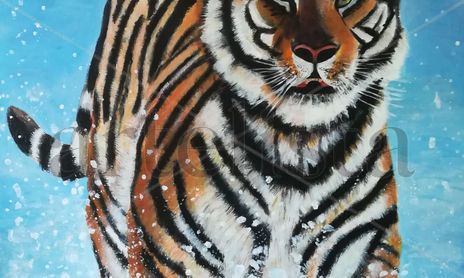 Animales
