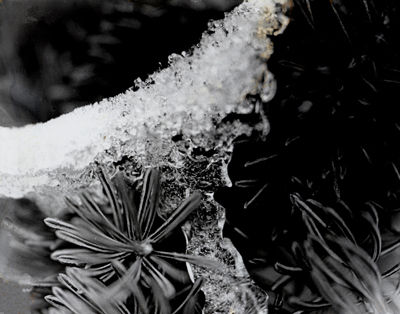 Rostros Naturaleza Blanco y Negro (Química)