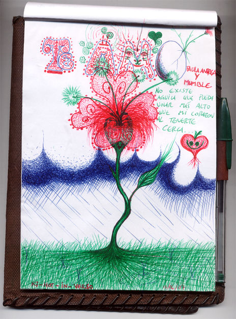 El A-MOR florece...