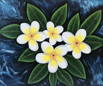 Plumeria