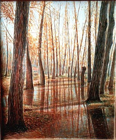 "cuando el rio se desborda, crecida del agueda" Oil Canvas Landscaping