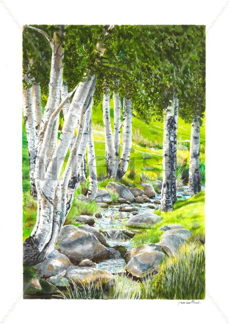 Paisaje 11