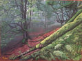 El bosque mágico