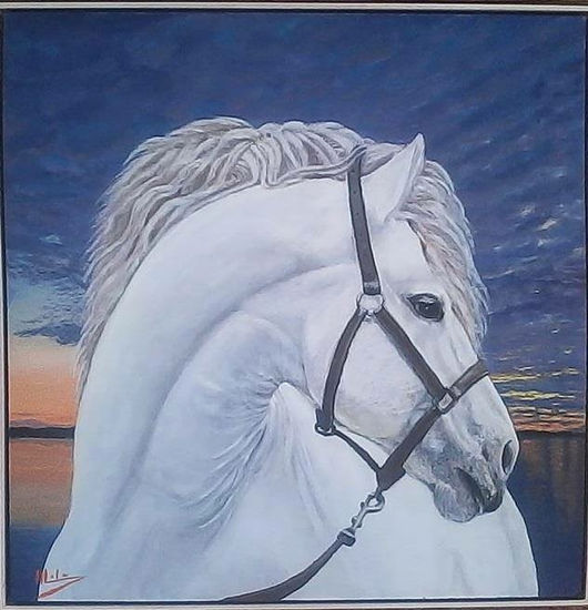 Caballo blanco Óleo Tabla Animales