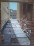 Ruinas de Baalbeck ( Libano )