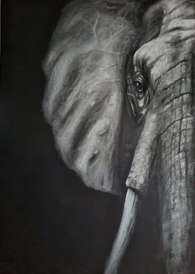 Elefante que nunca olvida.