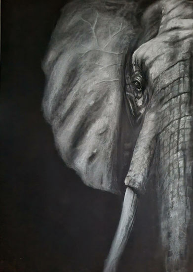 Elefante que nunca olvida. Pastel Card Animals