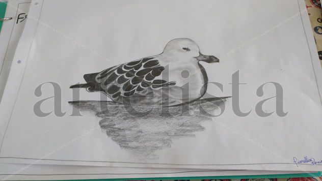 Gaviota reposando