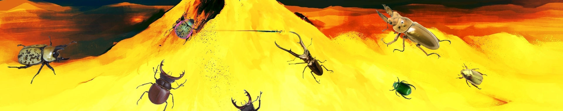 Imagen de portada