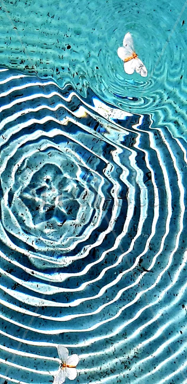 REFLEJOS ESCALONADOS