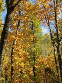 Otoño en Asturias