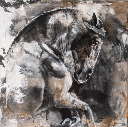Horse C001