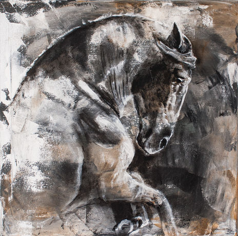 Horse C001