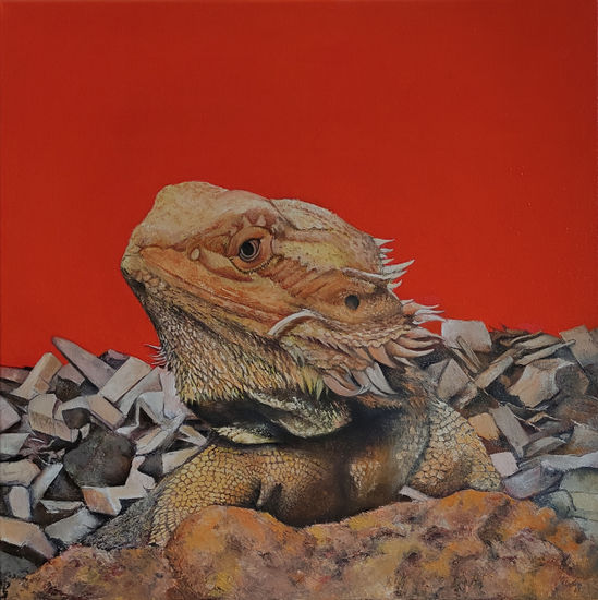 IGUANA Oil Canvas Animals