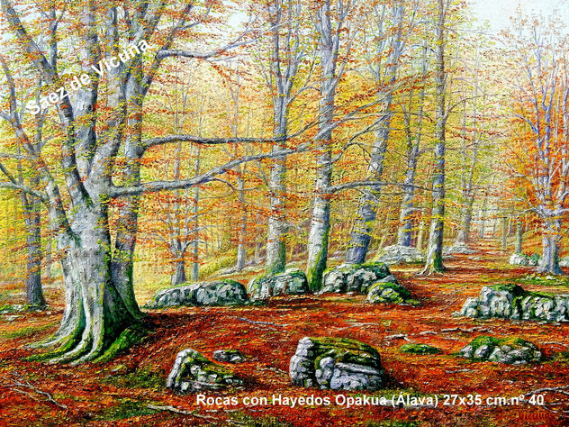 Rocas con Hayedos (Álava) 27x35 cm nº 40