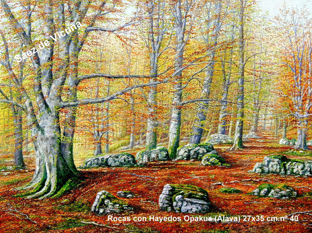 Rocas con Hayedos (Álava) 27x35 cm nº 40 Óleo Lienzo Paisaje