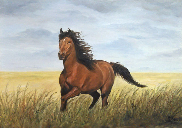 Cuadro al óleo "Caballo en la pradera" Oil Canvas Animals