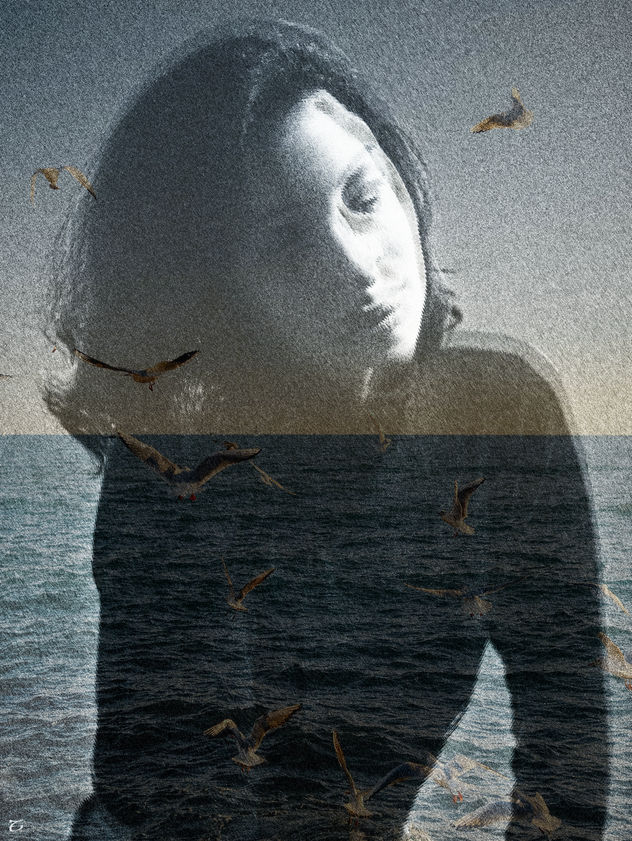 Entre las sombras (y el mar)