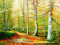 Camino entre Hayas (Álava) 27x35 cm nº 42