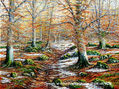 Camino al Arno Opakua (Álava) 27x35 cm nº70