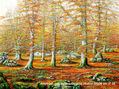 Hayedos con Bordas Opakua (Álava) 27x35 cm nº 35
