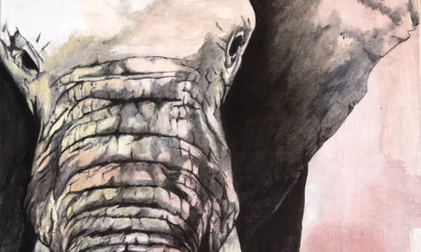 La fuerza de la naturaleza
