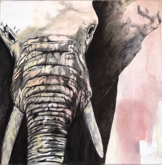 Las arrugas del elefante Oil Canvas Animals